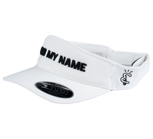 SUN VISOR